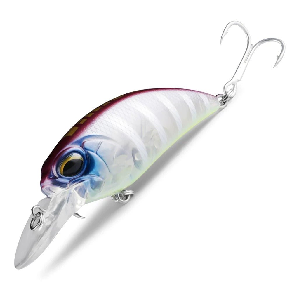 Asinia Crankbite 65 mm - Caribe Lures