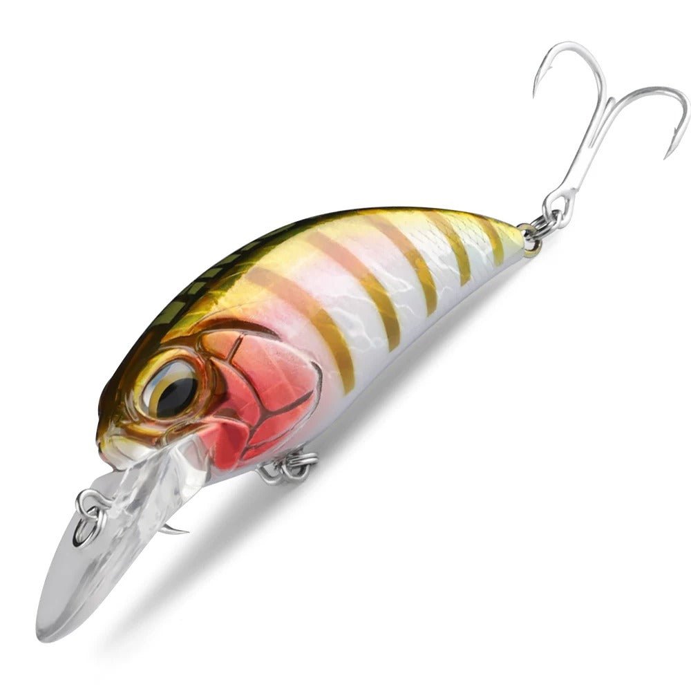 Asinia Crankbite 65 mm - Caribe Lures